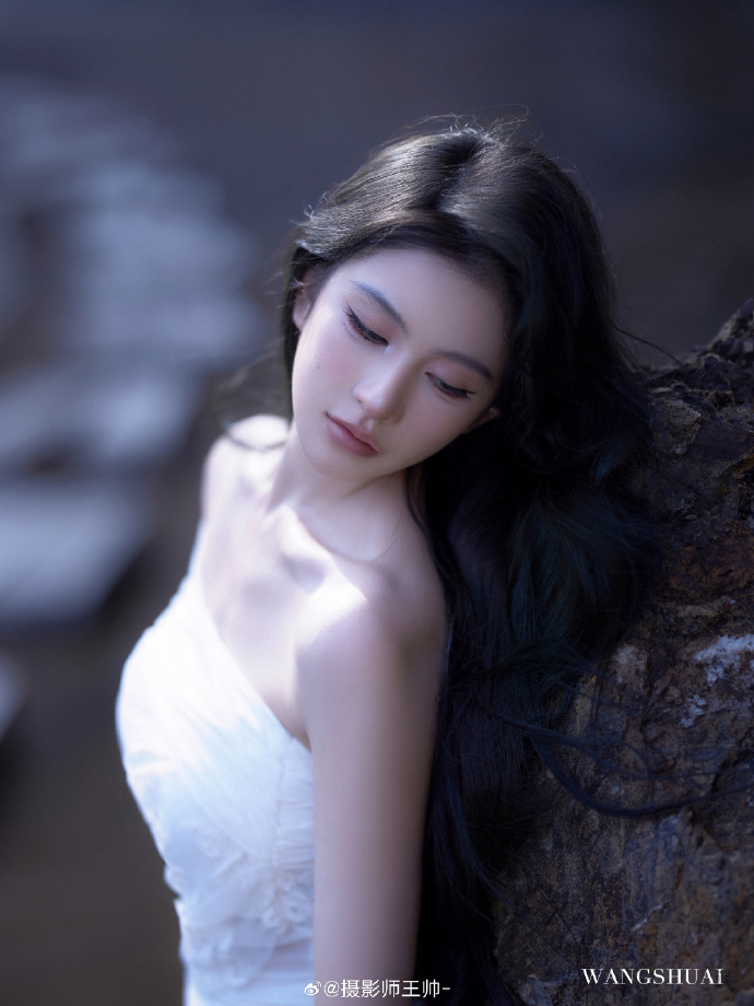 秘密森林 封面